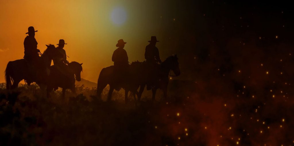 Gracias por vistitarnos